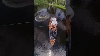 Giant manatee nearly tail slaps the kayak! #kayakfail #manatee #scared #wildlife #fypシ゚viral