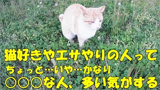 相変わらず野良猫さんより人間が面倒なんです