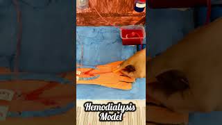 Best Science Project | Hemodialysis Model #shorts