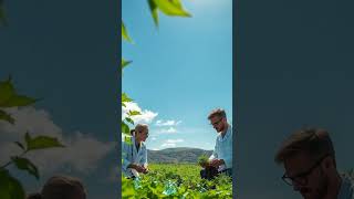 The Mystique of the Obsidian Plains: Agricultural Transformation