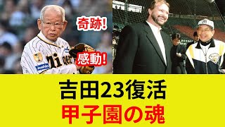 甲子園、背番号23復活！衝撃の追悼試合、吉田義男監督の真実