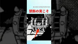 【最新1152話】実は『禁断の悪魔の実』こそ...【ワンピース】#ワンピース #ワンピースの反応集まとめ