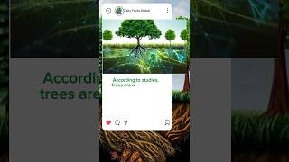 The Hidden Web of Trees: Nature's Underground Network Revealed! 🙀💡 #shorts