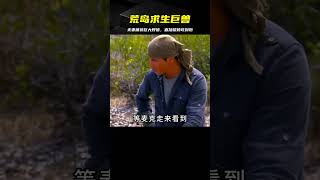 夫妻倆在荒島上求生，竟然捕獲了一頭巨大野豬，直接碳烤上了 #荒野求生 #荒野独居 #求生挑战 #生存挑战 #荒野