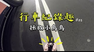 【大黑】行車紀錄趣#02 - 拯救受傷小鳥鳥