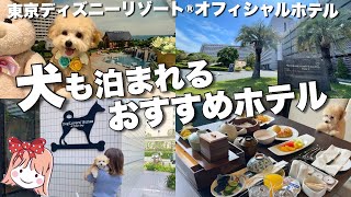舞浜のワンちゃんと泊まれるホテルが最高だった...🐶【シェラトン・グランデ・トーキョーベイ・ホテル】