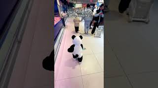 That's a running panda! 😂😂 #baby #babywalk #babycostume #costume