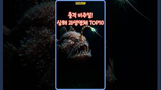 충격 비주얼! 심해의 괴 생명체들...#심해 #바다 #괴생명체 #미스터리 #공포