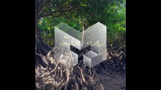 Laing Media Partners with Ecologi!