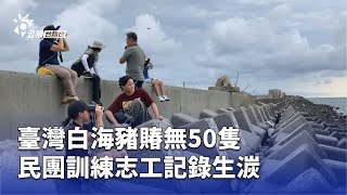 臺灣白海豬賰無50隻 民團訓練志工記錄生湠 | 公視台語台 | 20250723