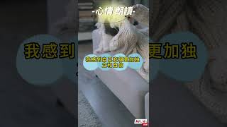 學會獨立...#shorts #提高專注力 #個人成長 #訂閱 #要人陪 #心靈雞湯 #asmr #孤獨 #感情生活 #W語錄