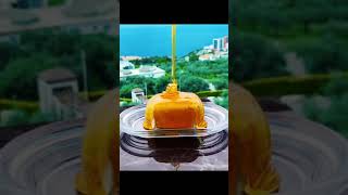 Credit:culture code - Feel again(feat.Harley bird)[NCS release] #shorts #foodshorts #food #honey
