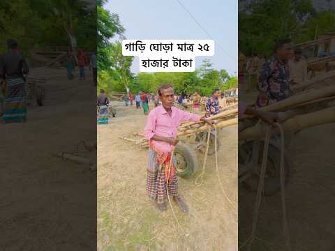 গাড়ি - ঘোড়া মাত্র ২৫ হাজার টাকা #ঘোড়ার_হাট #ইন্ডিয়ান #horse #জামালপুর #তুলশীপুর #horsemarket