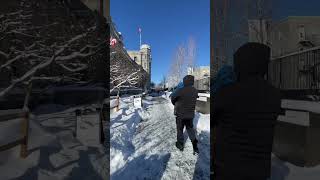 It is slippery, walk like a penguin 😁 #vlogs2023 #cuocsongohcanada #reels #shorts #penguinwalk