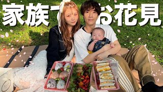 家族で初めてピクニックに行ったら妻のお弁当が最高すぎた