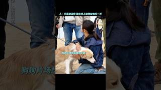 #张子枫 小狗狗有什么坏心思呢#我会好好的 #電影 #电影