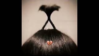 FUNNY VIDEOS OF ALL TIME  #everydaymeme #funnymeme
