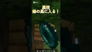 アプデの裏技w#おすすめ #ばずれ#マイクラ#まいくら#マインクラフト#まいんくらふと#マイクラ統合版#Minecraft#ひょうかげ