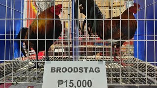 First day Price List IGF Hobby Expo 2025