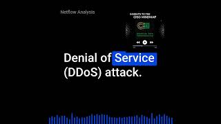 CISO Mindset: Netflow Analysis