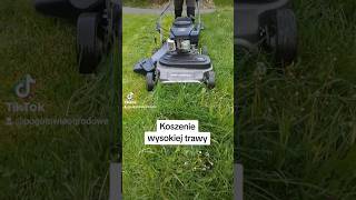 Weibang WB778SLC koszenie wysokiej trawy #kosiarka #kosiarki #koszenie #lawn #trawnik