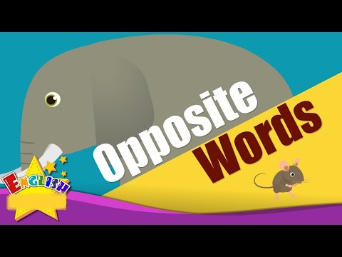 Learn Opposite Words | Antonyms In English | Opposites | Opposite word in English | Common opposites
