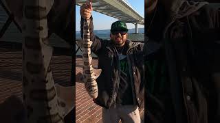 Fishing new pier under Bay Bridge‼️#california #fishing #bayarea #shark #stingray #new #pier #sf