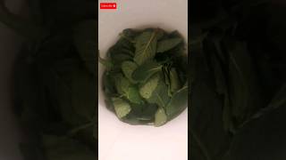 Let's make chaat #chaat #chaatrecipe #chaatlover #chaatchutney #chaattime #chaatrecipe #shortvideo
