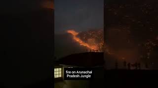 arunachal pradesh💥😱 | forest fire | wildfire news |  forest alert | arunachal pradesh fire