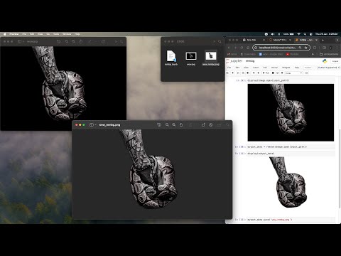 Remove Image Backgrounds Effortlessly with Python! || REMBG || Image Processing || PyGorithm