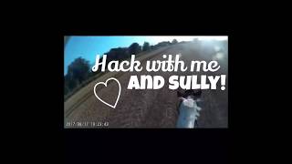Hack With Me🐴