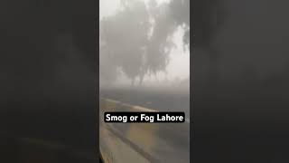 Smog or Fog Lahore #smog #fog #follow