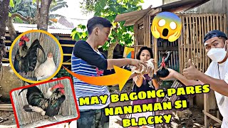 PINUNTAHAN AKO NG MGA BATA.. IPAPARES DAW NILA C BLACKY SA BANTAM NILA😱😱