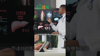 高GI食物使得胰島素和血糖波動增加，而這些也影響大腦中參與回報機制的部位#艾門享受健康計畫 #飲食計畫 #減肥 #瘦身 #健康  #蔬果漾 #優菌多 #亮妍肌漾