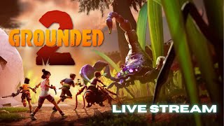 Chill Stream: Building the Ultimate Backyard Base | Grounded 2 Live
