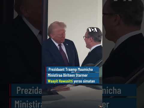 Prezidaant Traamp Muumicha Ministiraa Biriteen Yeroo Simatan| VOA Afaan Oromoo