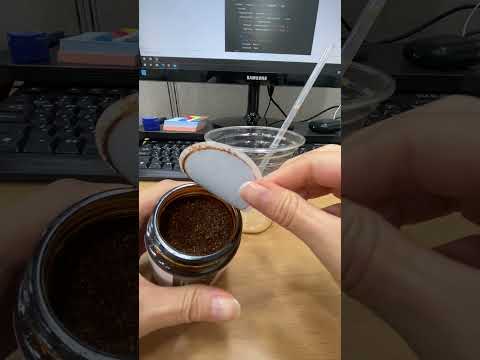 업무중 나무사이로 커피 파우더 맛 조아 (인스턴트 아님)
