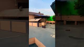 #funny #funnyposts #tumblrfunny #cat #funnypictures #shorts #viral #yt #comedy