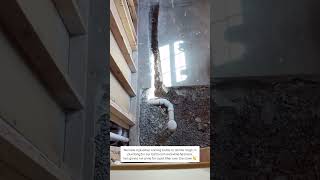 Part 08 #diyreels #diy #closeted #homeimprovement #ad #easyhouse #housedesign #houselayout #woman