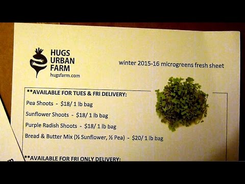Microgreens fresh sheet for selling to chefs