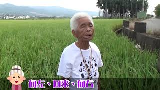 51306 口腔健康操 快樂嬤x66+新北動健康