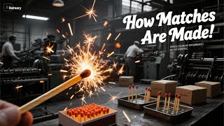How Matches Are Made 🔥 |  New Style Strike Matchstick Manufacturing Process