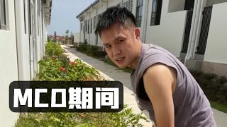 #MCO 期间 转行当个 #园丁 好不好啊 🤔