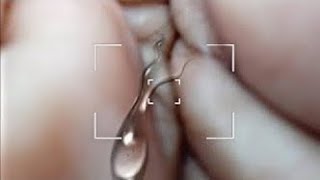 Trending HDR-Video | Ein Bildschirm reinen Rosa SDC-Bearbeitung | CC| Hintergrund | BP-Backdrop