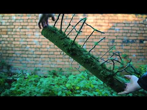 Nature is not Mute - Installation Art