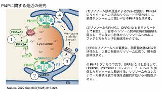 シグナリングゼミ我含皆師ゼミ＿Part５  テーマ：イノシトールリン脂質