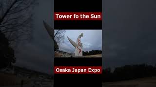 Tower of the Sun / Osaka Japan Expo
