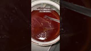 手作りコンブチャ生成中（2、3日目）　#腸活 #腸活ダイエット #酵素