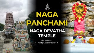 Nag Panchami Devotees Throng To Naga Devatha Temple #Msnews #Manideeppuli