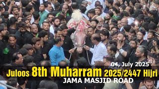 8 Muharram Juloos Amroha | Matam | Jama Masjid to Haqqai Imambada 4K Video #JamaMasjid #Matam